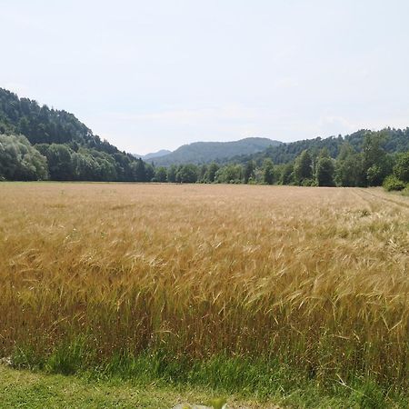 Hiska Zeleni Raj Villa Podnart Buitenkant foto