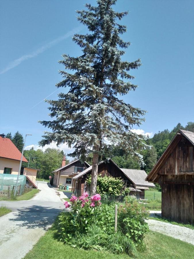 Hiska Zeleni Raj Villa Podnart Buitenkant foto