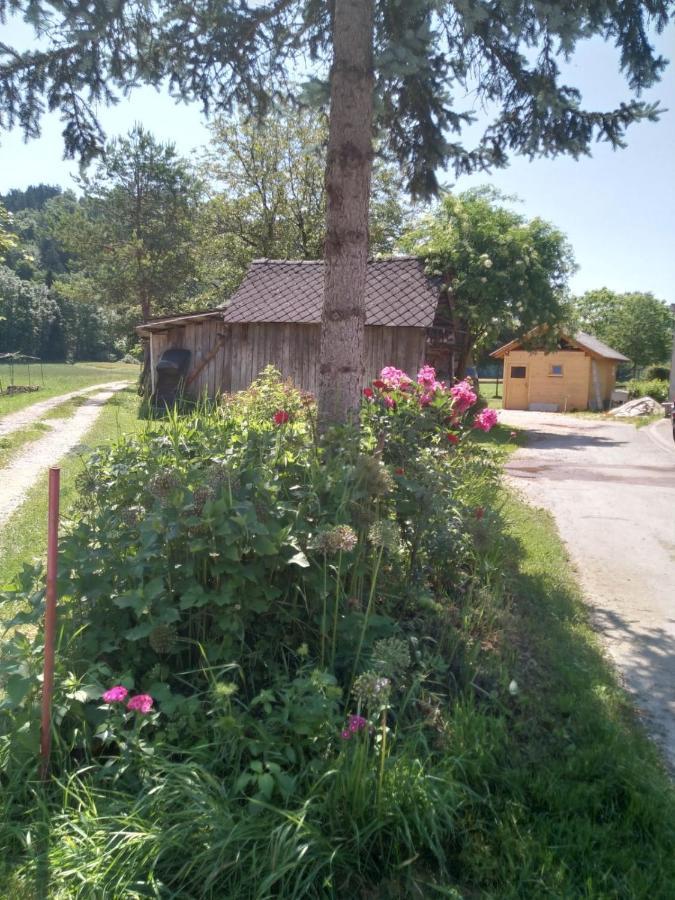Hiska Zeleni Raj Villa Podnart Buitenkant foto