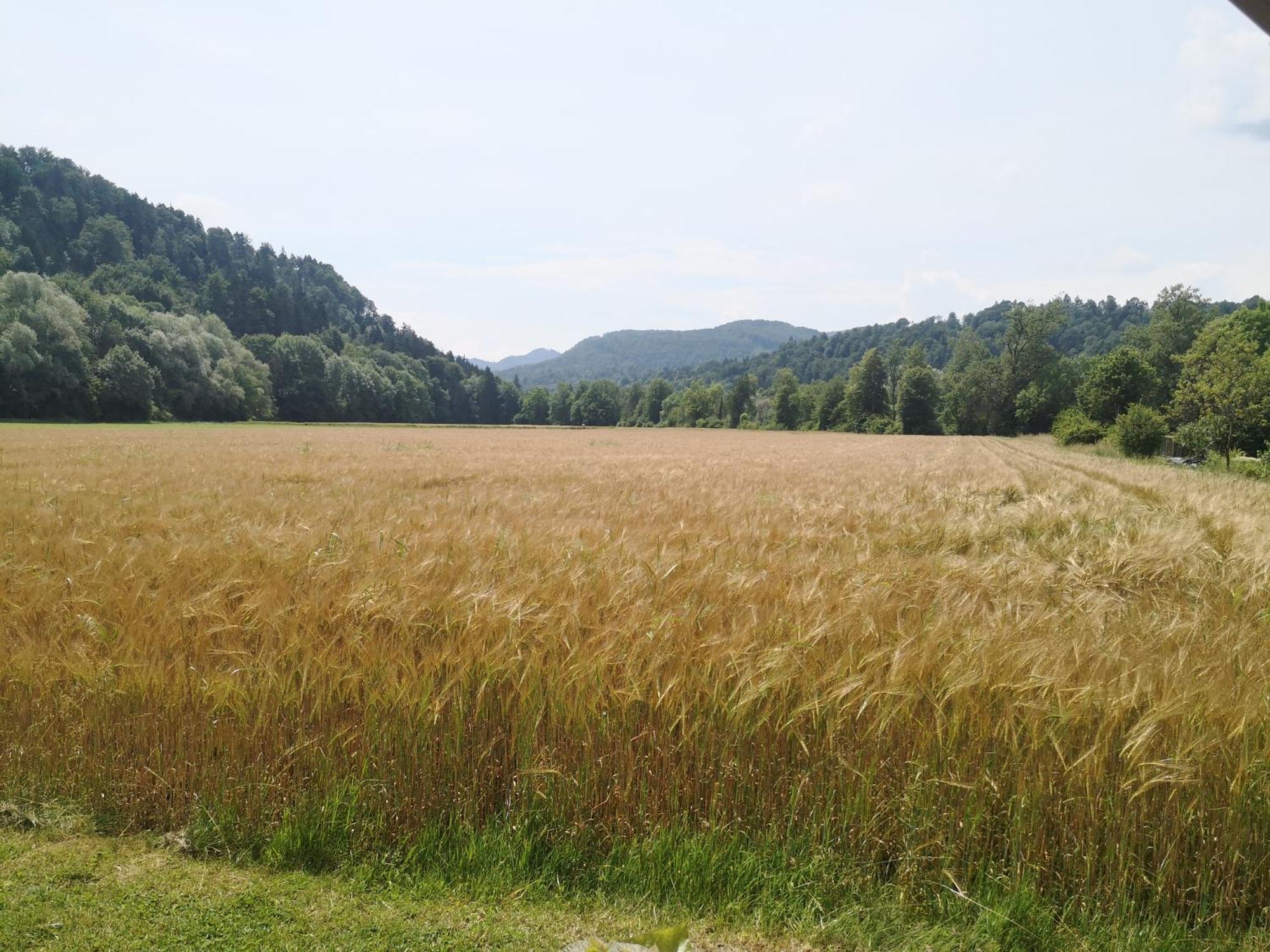 Hiska Zeleni Raj Villa Podnart Buitenkant foto